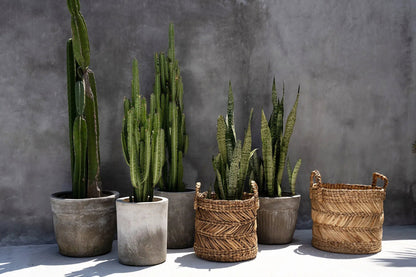 De Banana Zigzag Mand Large