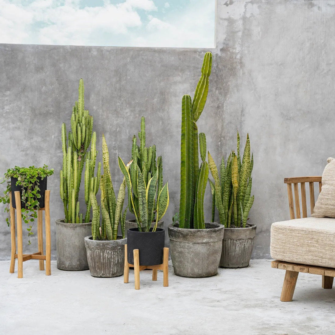 De Charcoal Hoge Plantenbak Zwart Small Bazar Bizar
