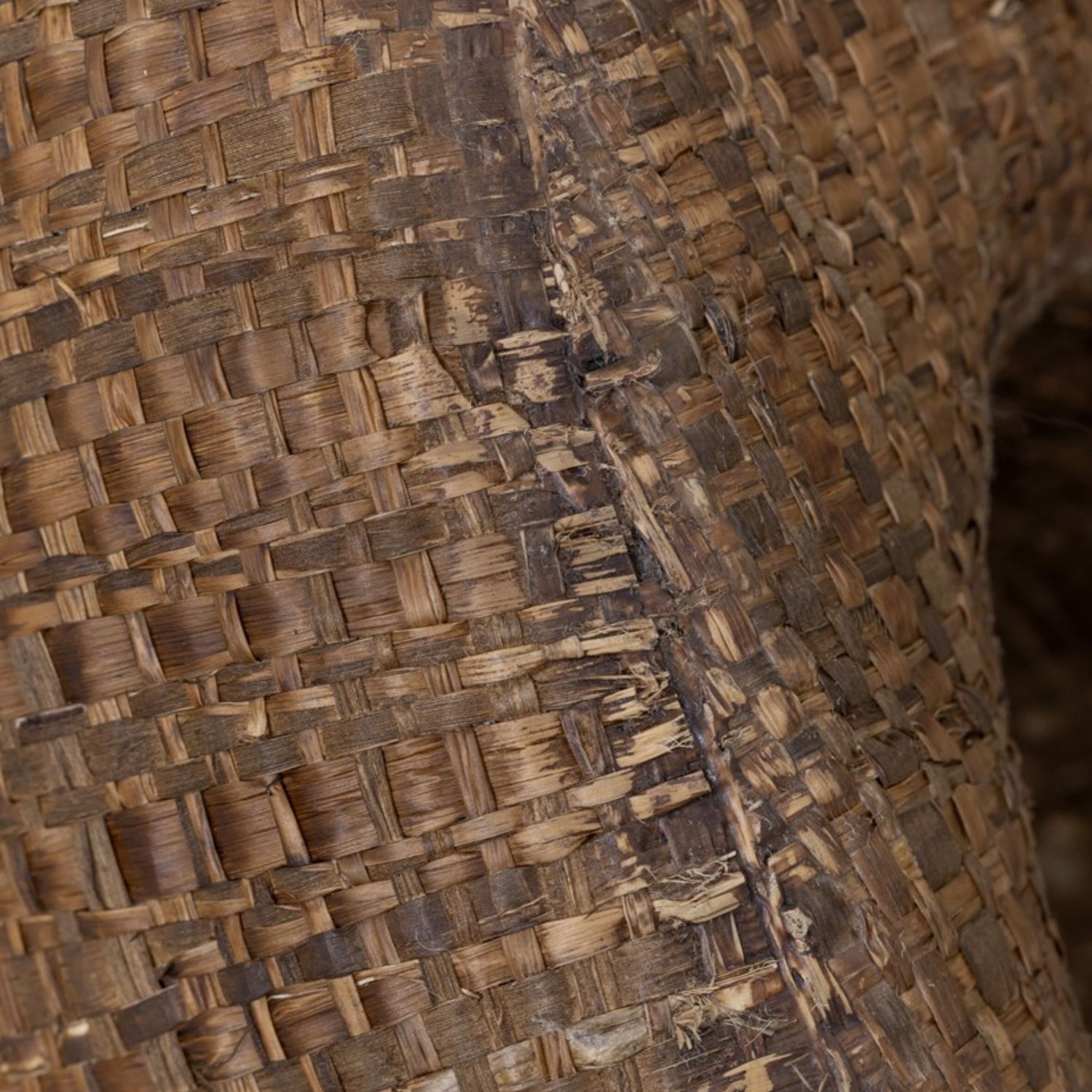 MUST Living Statue Dolce XL