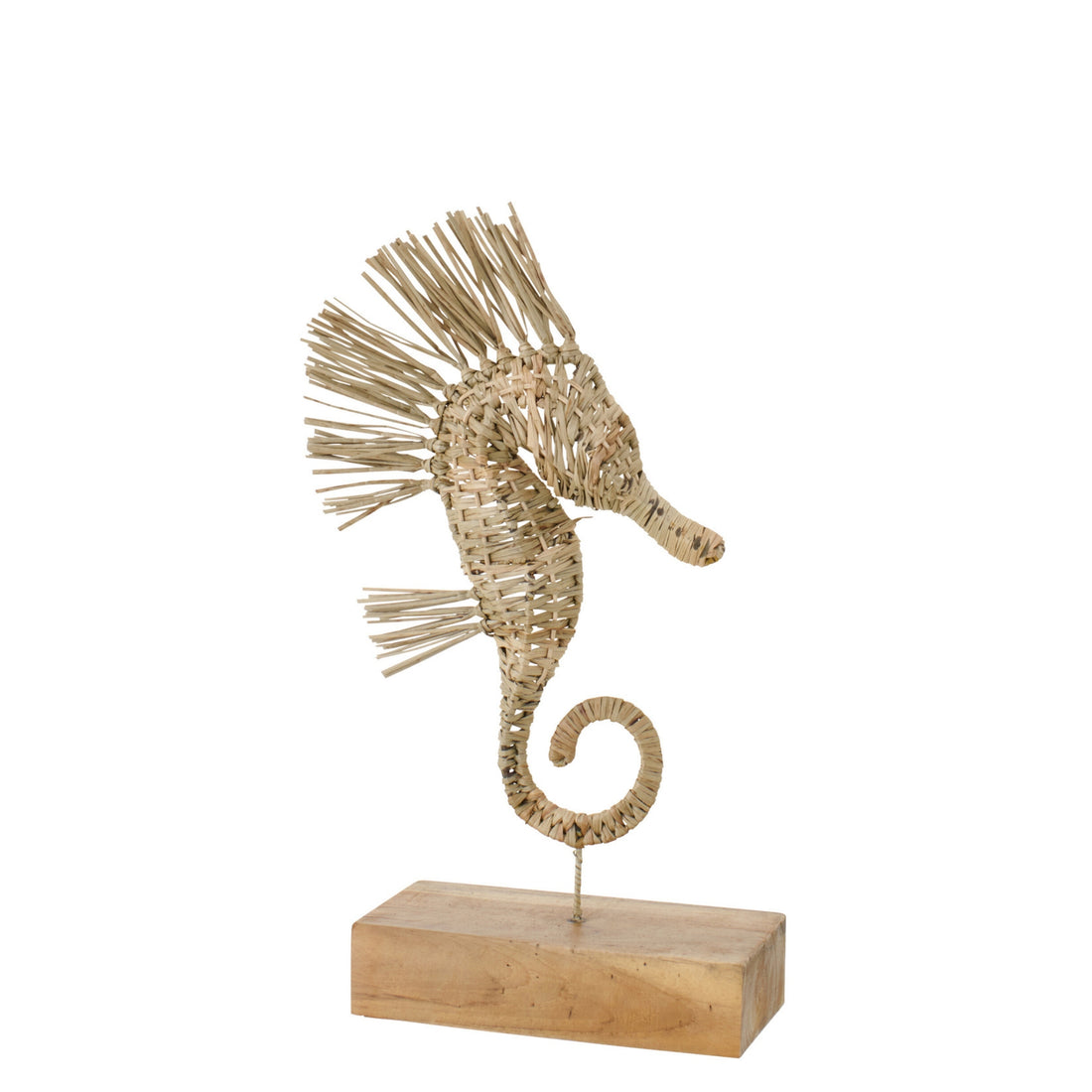 Zeepaard Op Voet Gras Naturel Small J-Line