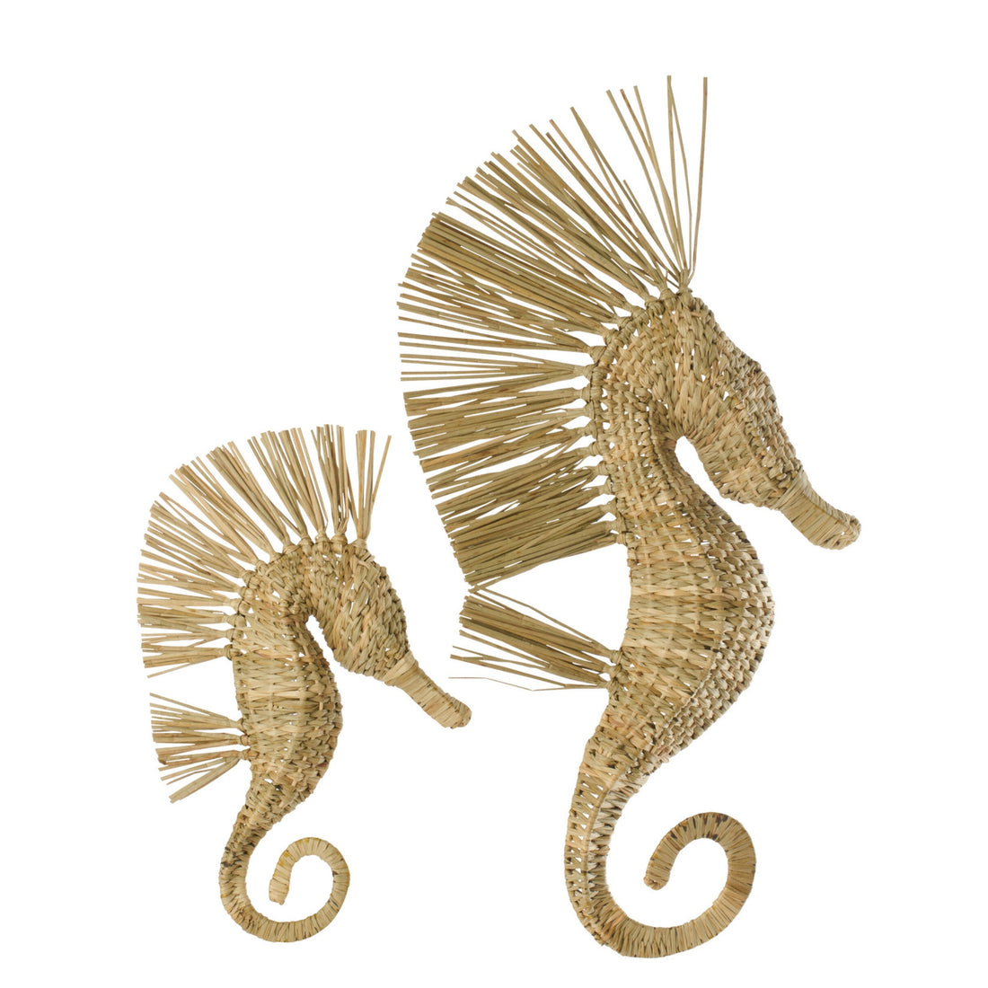 Wandobject Zeepaard Gras Naturel Large J-Line