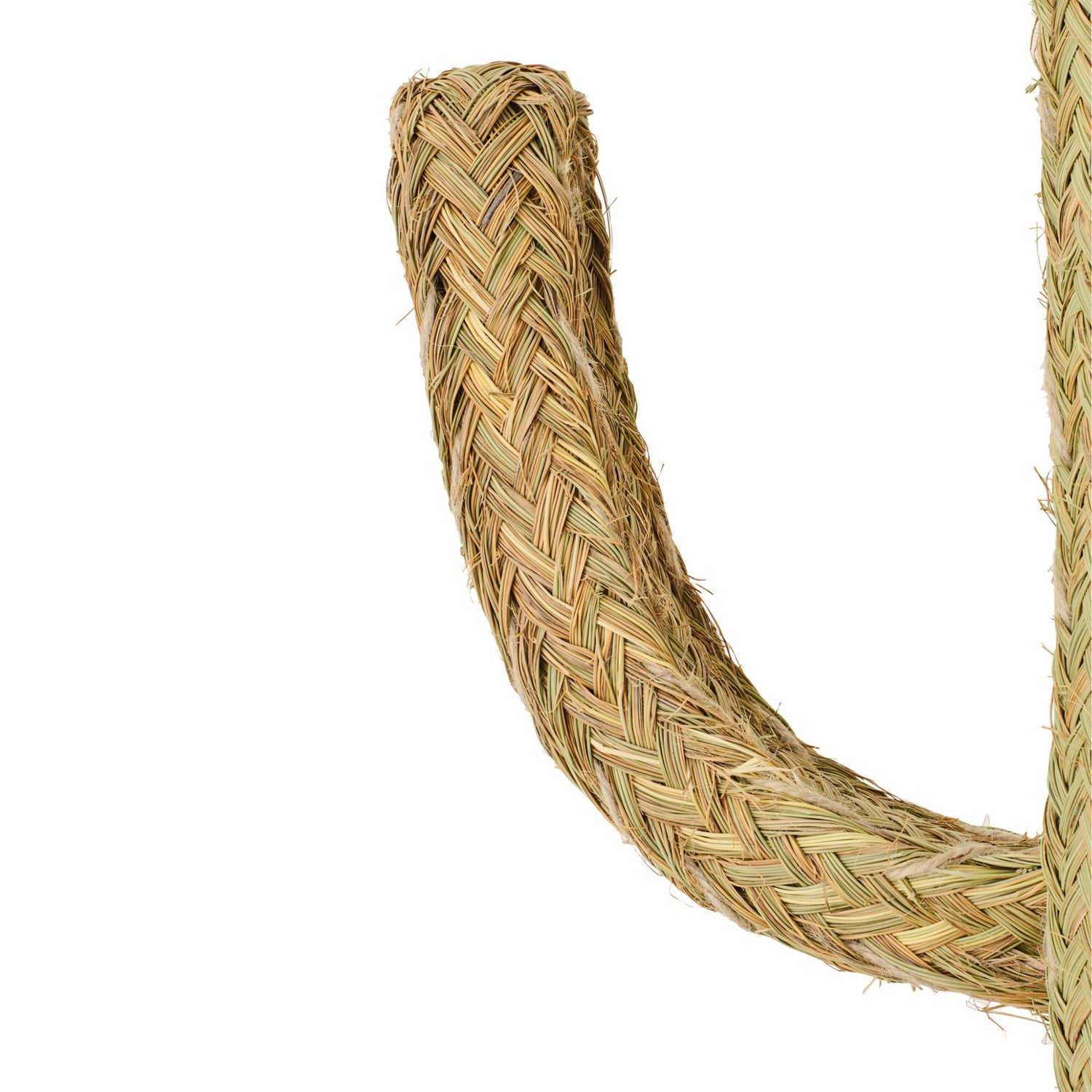 Cactus Gras Naturel Extra Large J-Line