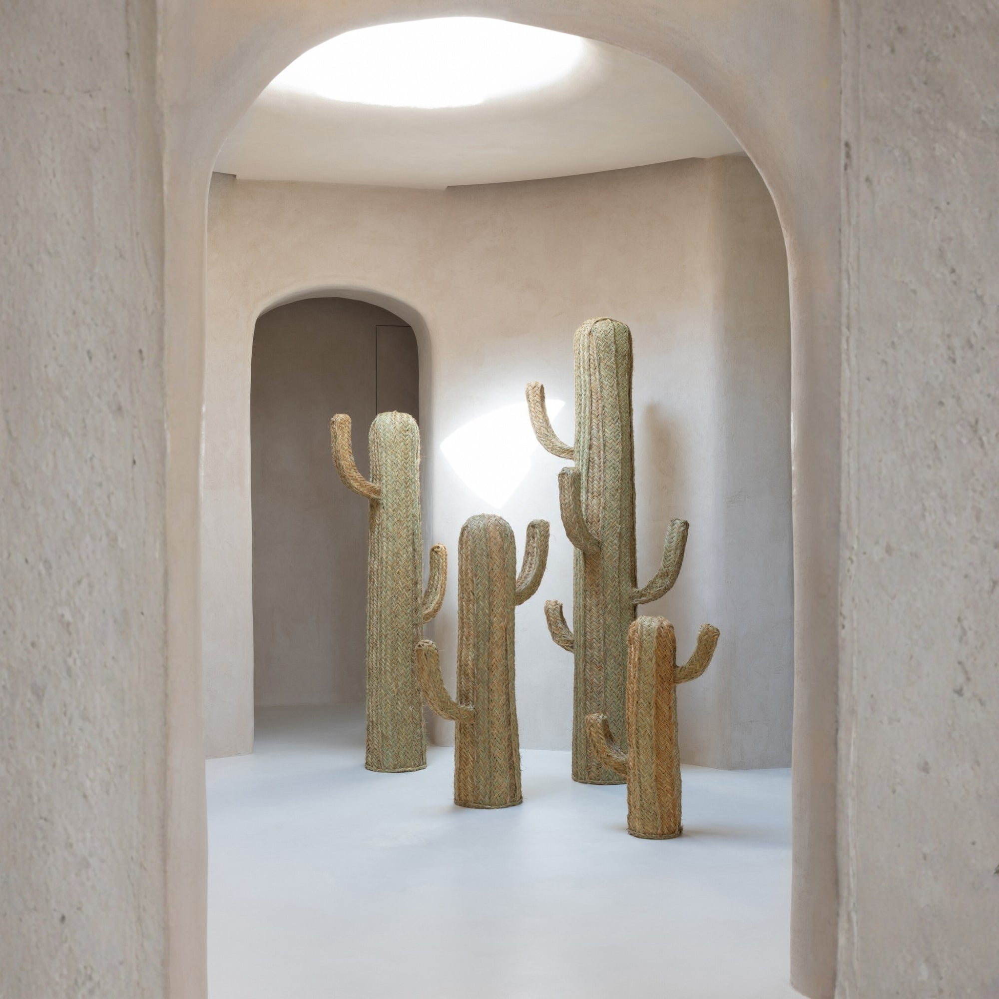 Cactus Gras Naturel Extra Large J-Line