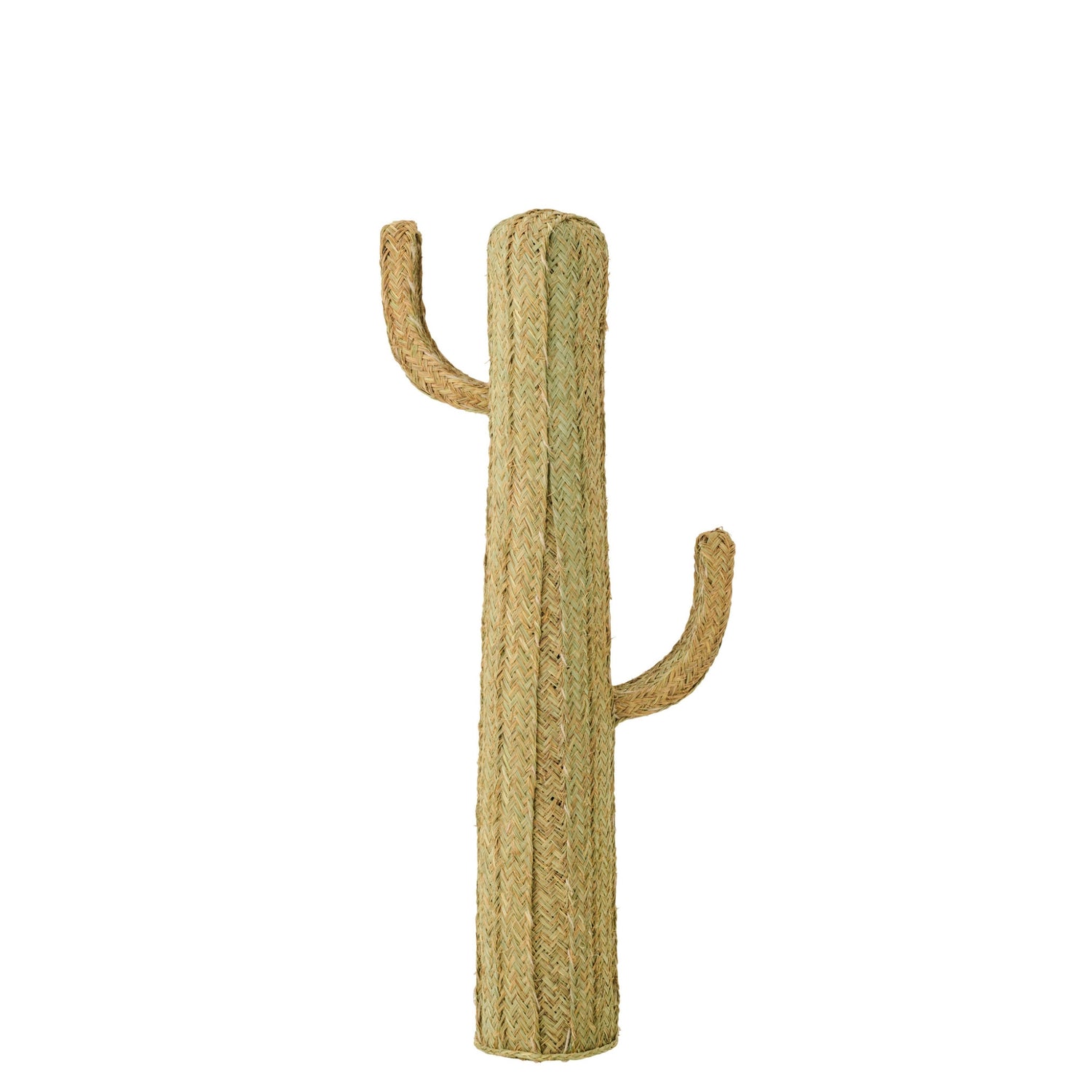 Cactus Gras Naturel Large J-Line