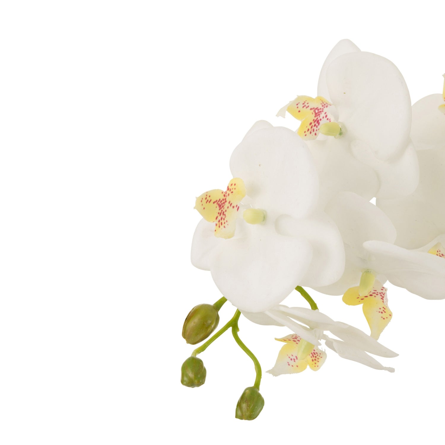 Orchidee In Aarde Plastiek Wit/Groen Large 32x32x75cm
