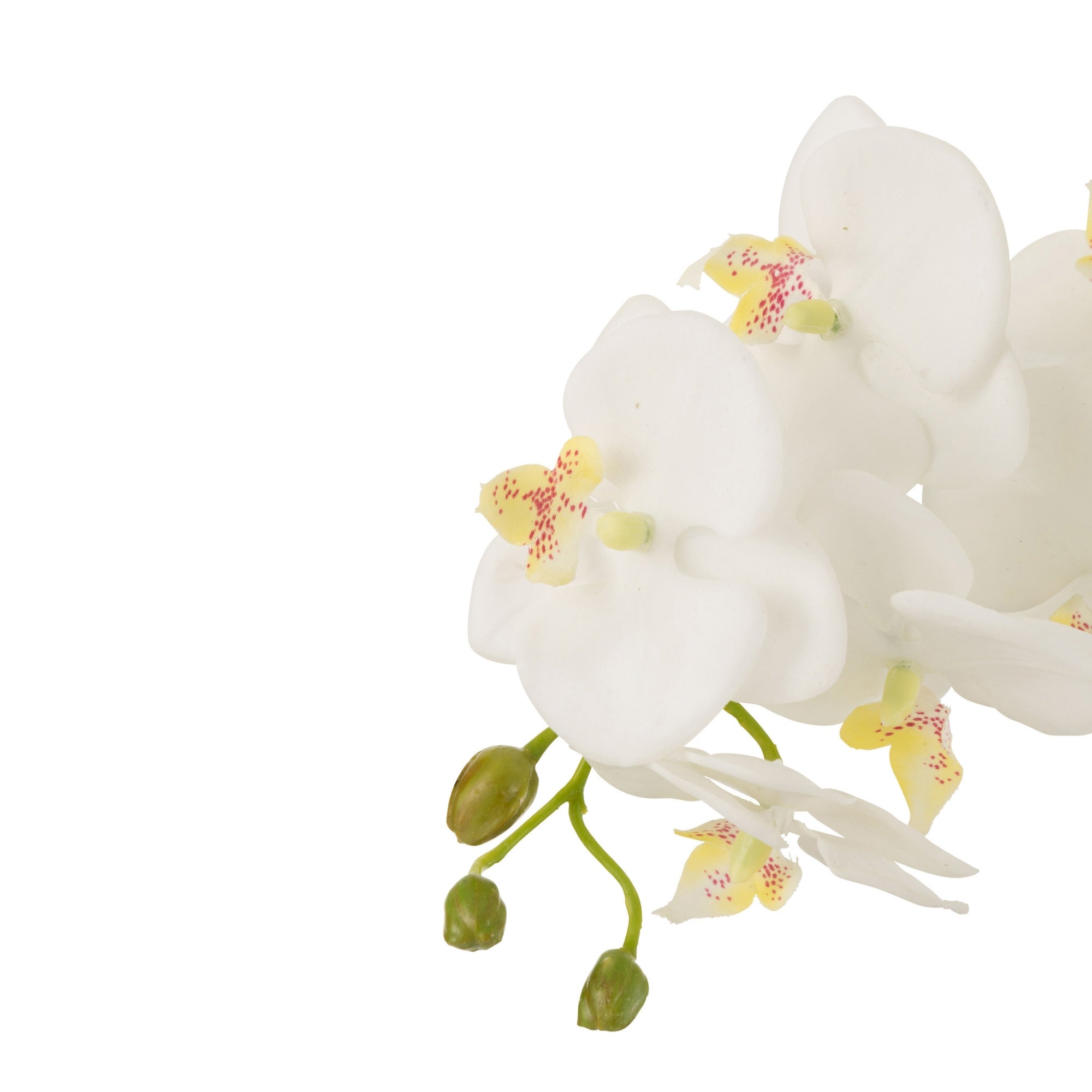 Orchidee In Aarde Plastiek Wit/Groen Large 32x32x75cm