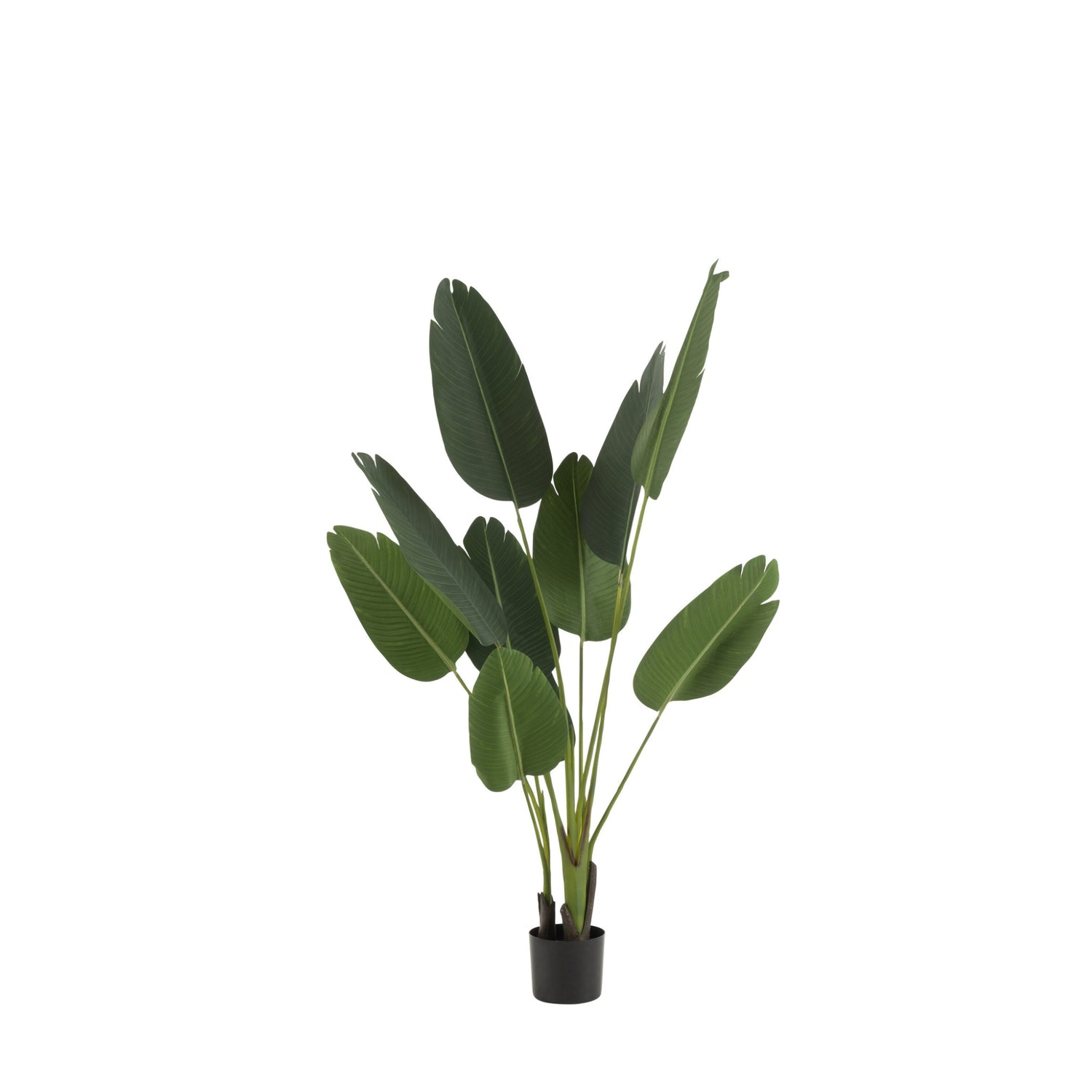 Strelitzia Plastiek Groen Small