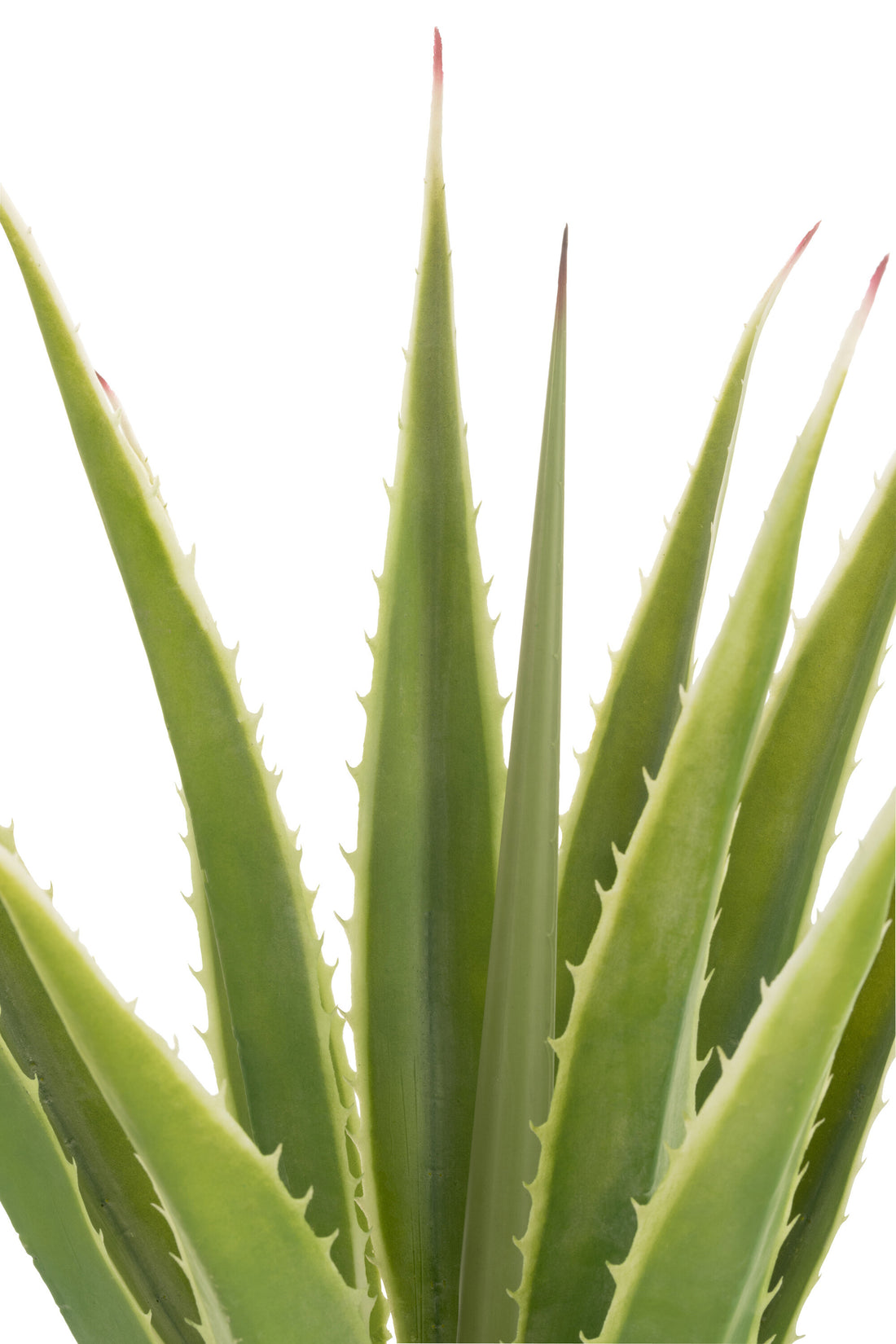 Agave Gebroken Wit Kunstmatig Groen 80x80x150cm - Kunstplant - J-Line - livinglovely.nl