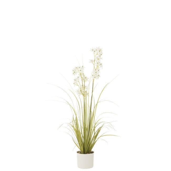 Allium In Pot Plastic Green/White Medium 18x18x116cm - Kunstplant - J-Line - livinglovely.nl