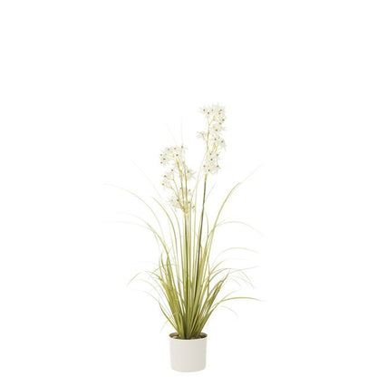 Allium In Pot Plastic Green/White Medium 18x18x116cm - Kunstplant - J-Line - livinglovely.nl