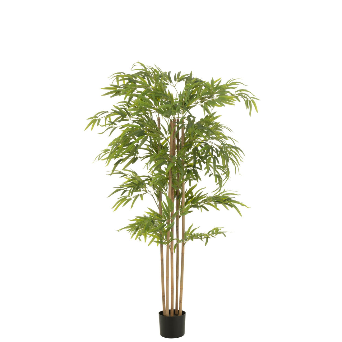 Bambus im Topf Kunststoff Grün H150cm J-Line