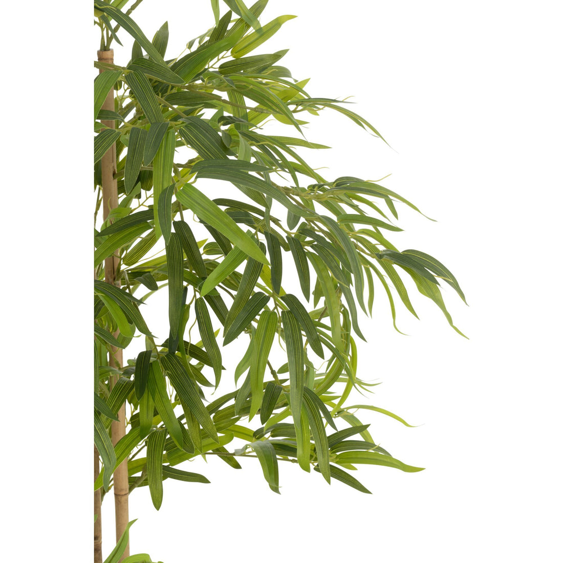 Bambus im Topf Kunststoff Grün H150cm J-Line
