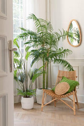 Bamboepalm In Pot Plastiek Groen/Zwart Small - Kunstplant - J-Line - livinglovely.nl