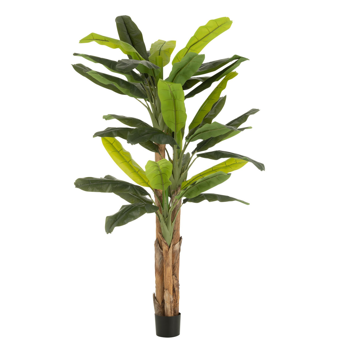 Bananenbaum im Topf aus Kunststoff, grün, H 300 cm, J-Line