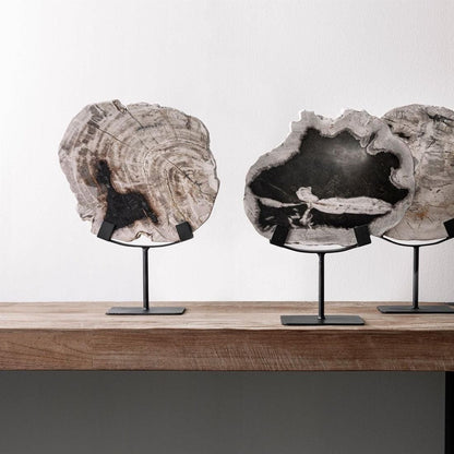 Statue Fossil van MUST Living in een gestylede setting op een dressoir