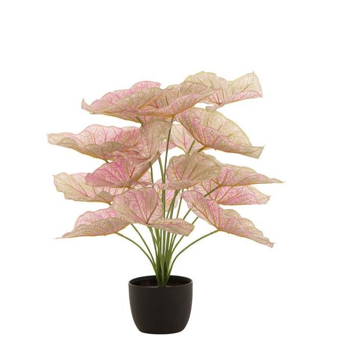 Caladium In Pot Plastiek Licht Roze/Groen 25x25x57cm - Kunstplant - J-Line - livinglovely.nl