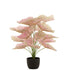 Caladium In Pot Plastiek Licht Roze/Groen 25x25x57cm - Kunstplant - J-Line - livinglovely.nl