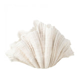 Deco Vaas Mossel Schelp Polyresine Gebroken Wit - Vaas - J-Line - livinglovely.nl