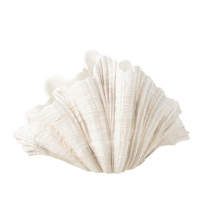 Deco Vaas Mossel Schelp Polyresine Gebroken Wit - Vaas - J-Line - livinglovely.nl