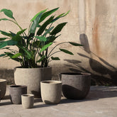 Delsey Brown GRC Structure Pot Big Set Of 3 van PTMD, detail van de bruine GRC potten met beplanting in een tuinsetting