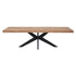 DTP Home Eettafel Masterpiece Newton 260cm - Eetkamertafel - DTP Home - livinglovely.nl