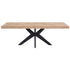 Eetkamertafel Masterpiece Einstein teakhout 220cm DTP Home