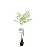 Fern Plant Green Sword Fern Plant In Black Pot 125x70x150cm PTMD - Kunstplant - PTMD - livinglovely.nl