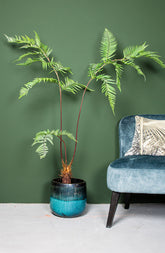 Fern Plant Green Sword Fern Plant In Black Pot 125x70x150cm PTMD - Kunstplant - PTMD - livinglovely.nl