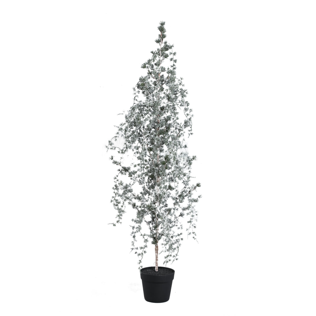 Florine Kerstboom LED Met Sneeuw Large van PTMD, mosgroene kunstkerstboom met sneeuw en LED lampjes op witte achtergrond