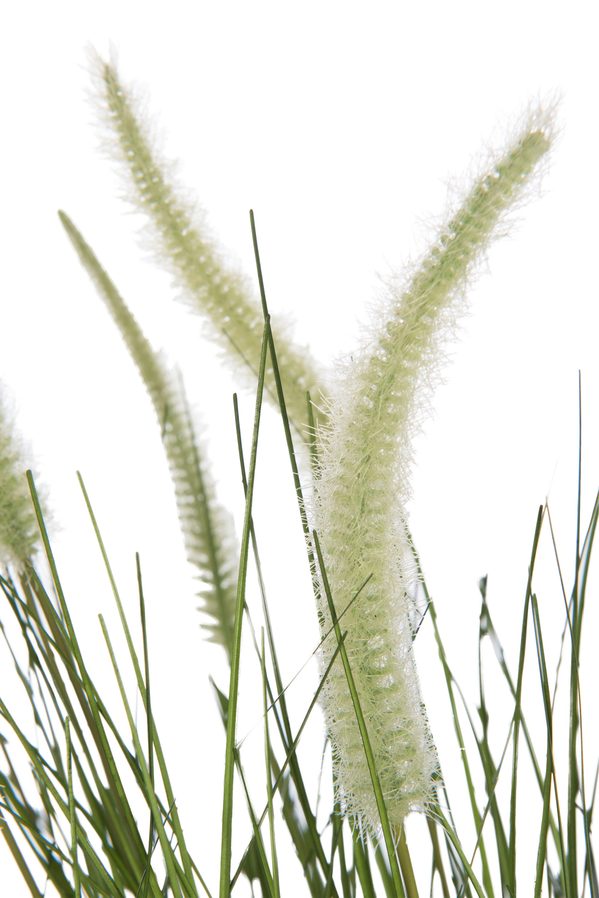 Grassen + Staarten In Pot Metaal Groen Plastiek Groen Large Dia60xH114cm - Kunstplant - J-Line - livinglovely.nl