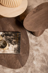 Harshad Brown Mango Wood Side Table Organic PTMD - Bijzettafel - PTMD - livinglovely.nl