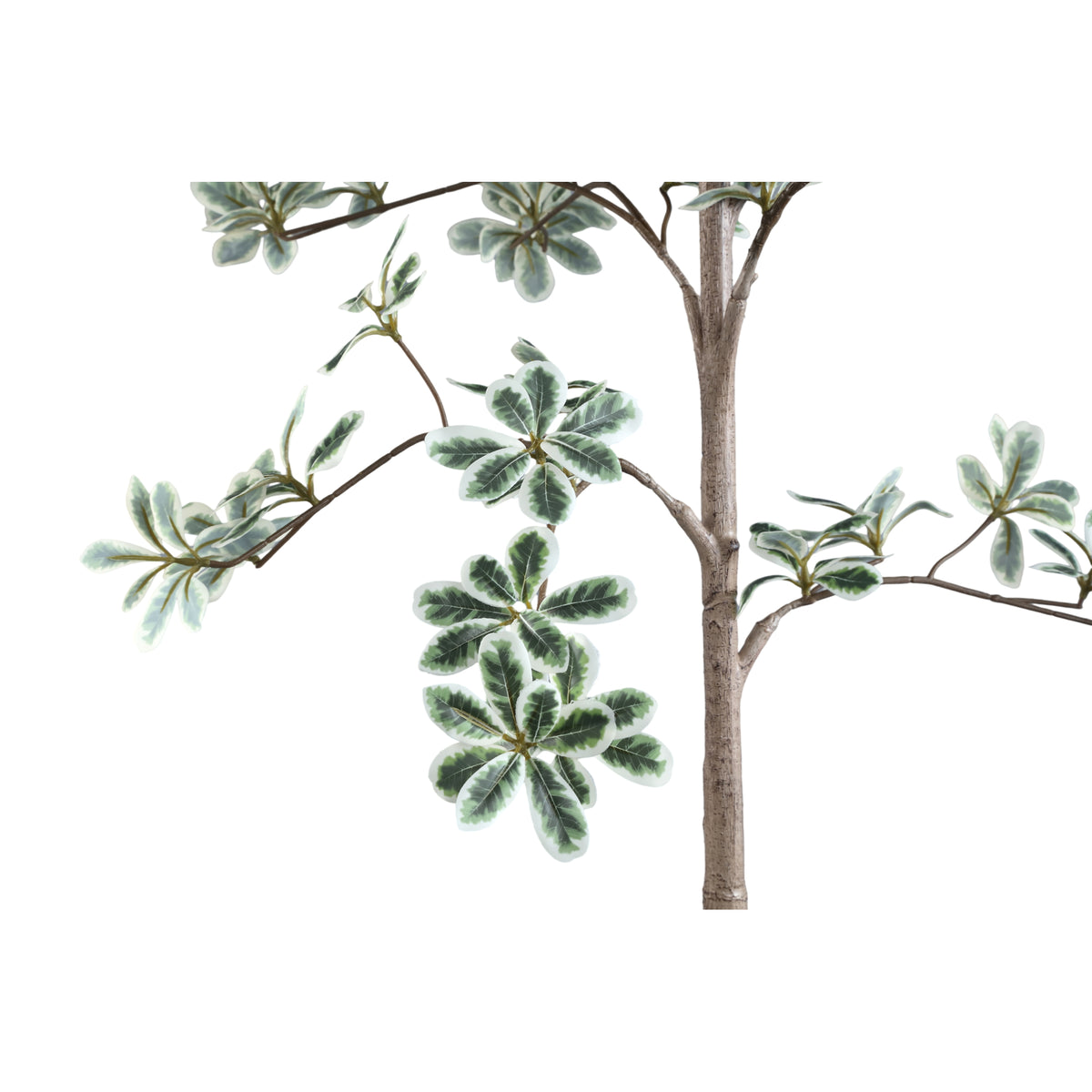 Zwarte pot van de madagaskaramandel kunstboom van PTMD van dichtbij