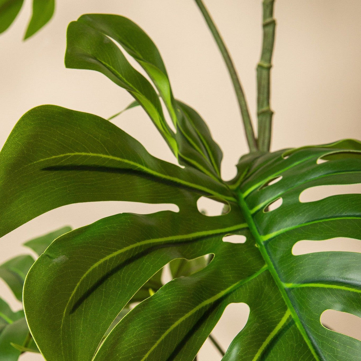 Grote kunstmonstera van PTMD gefotografeerd in een interieur met dubbele hoogte