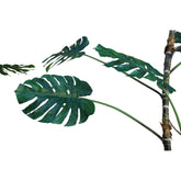 Hoge groene kunstmonstera van PTMD van opzij met ingesneden bladeren