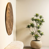 Kunstdracaena van PTMD in zwarte pot gestyled in een lichte woonkamer