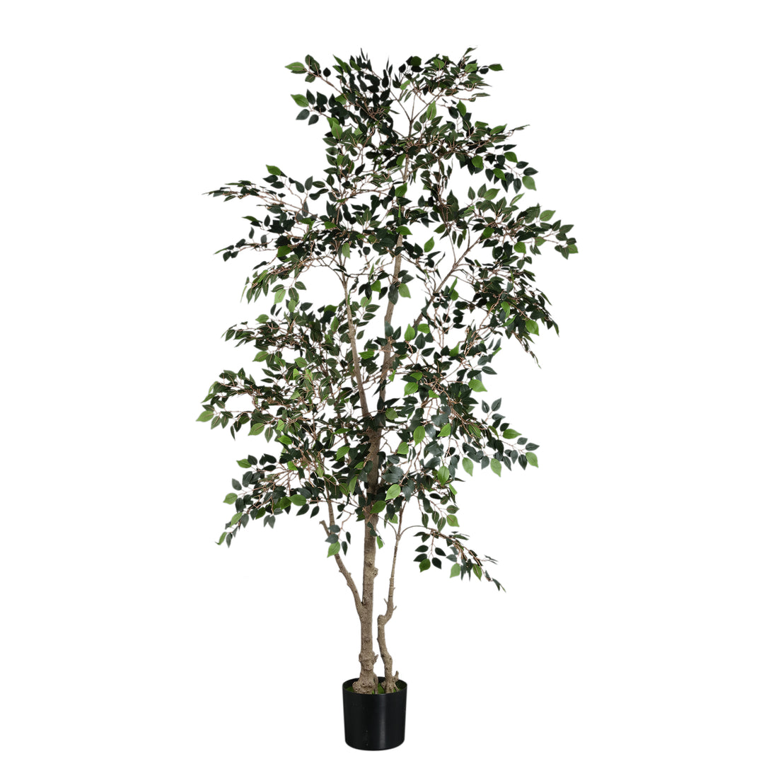 Kunst ficus microcarpa van PTMD, 185 cm hoog met volle kruin