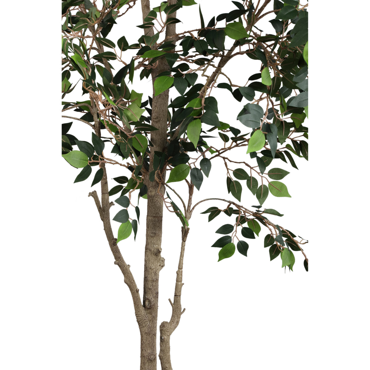 Groene kunst ficus microcarpa van PTMD met glanzende bladeren