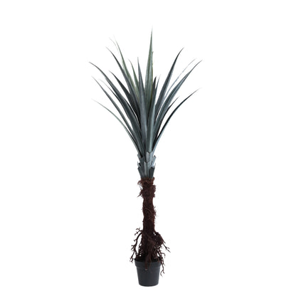 Kunstplant pandanus van PTMD in donkergroen, 180 cm hoog