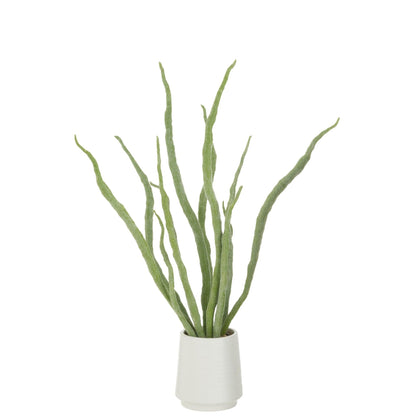 Kunstvetplant In Pot Groen van J-Line, vetplant met dikke bladeren van 92cm hoog