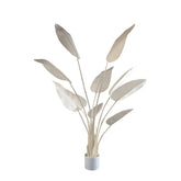 Leaves Plant Cream Strelitzia van PTMD, kunststrelitzia in creme van 150cm hoog