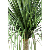 Leaves Plant Green Onion Grass On Coconut Tree A PTMD - Kunstplant - PTMD - livinglovely.nl