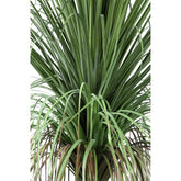 Leaves Plant Green Onion Grass On Coconut Tree B PTMD - Kunstplant - PTMD - livinglovely.nl