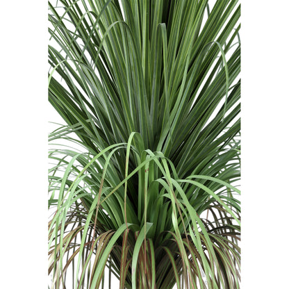 Leaves Plant Green Onion Grass On Coconut Tree B PTMD - Kunstplant - PTMD - livinglovely.nl