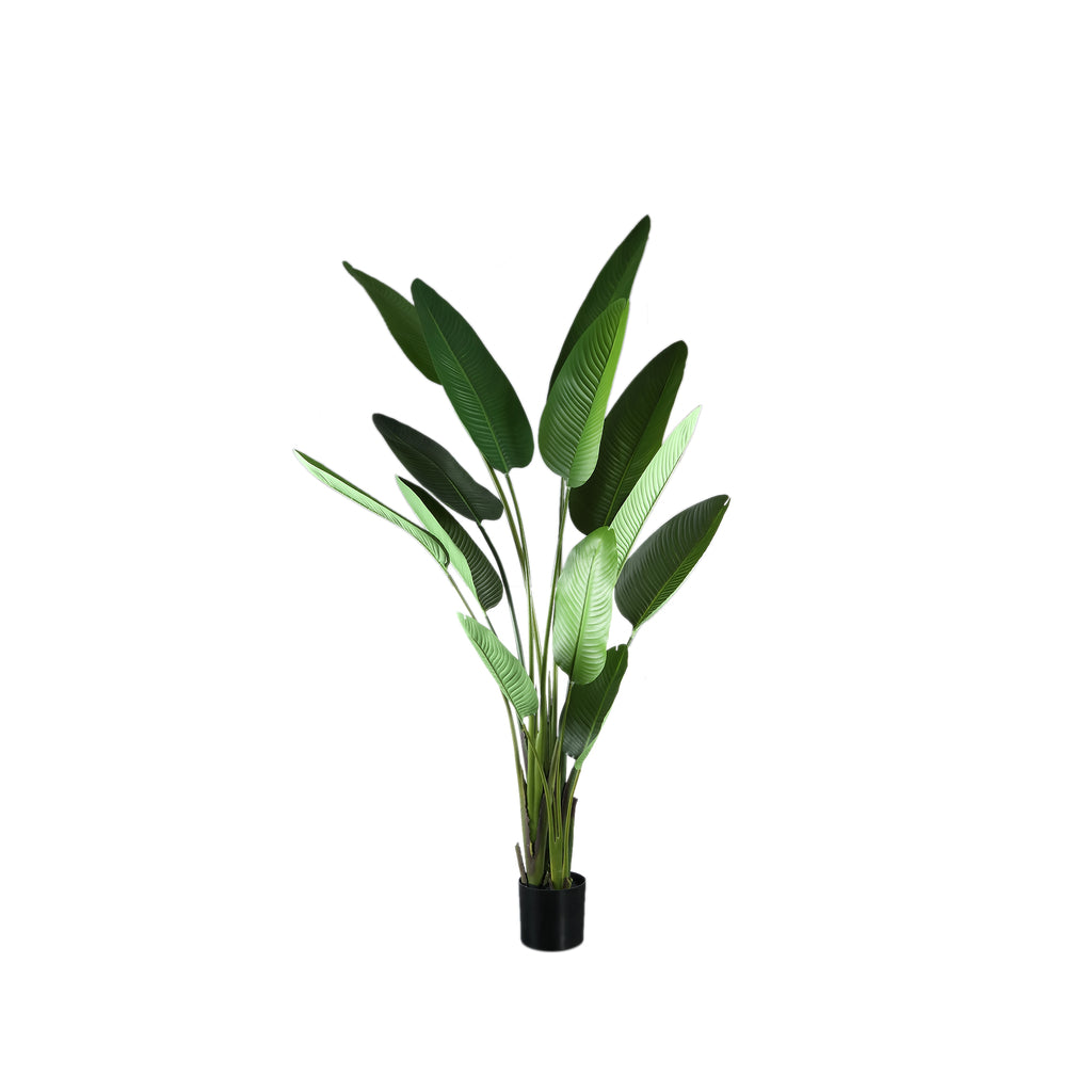Leaves Plant Green PE Real Touch Strelitzia L 110x63x235cm PTMD - Kunstplant - PTMD - livinglovely.nl