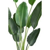 Leaves Plant Green PE Real Touch Strelitzia M 85x73x150cm PTMD - Kunstplant - PTMD - livinglovely.nl