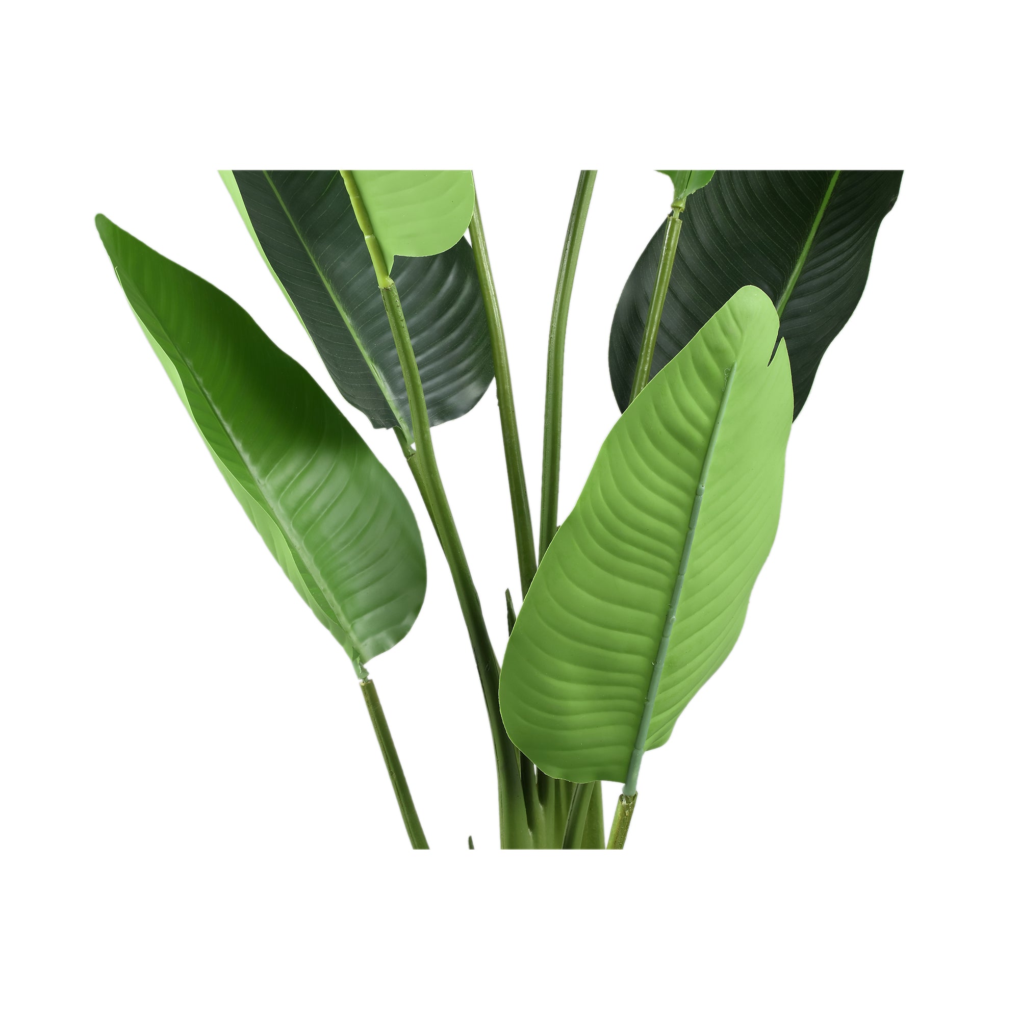 Leaves Plant Green PE Real Touch Strelitzia S 77x56x117cm PTMD - Kunstplant - PTMD - livinglovely.nl