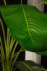 Leaves Plant Green PE Real Touch Strelitzia XL 130x87x310cm PTMD - Kunstplant - PTMD - livinglovely.nl