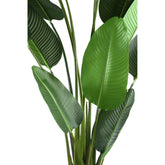 Leaves Plant Green PE Real Touch Strelitzia XL 130x87x310cm PTMD - Kunstplant - PTMD - livinglovely.nl