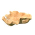 Loza Natural teakwood organic shaped bowl PTMD - Schaal - PTMD - livinglovely.nl
