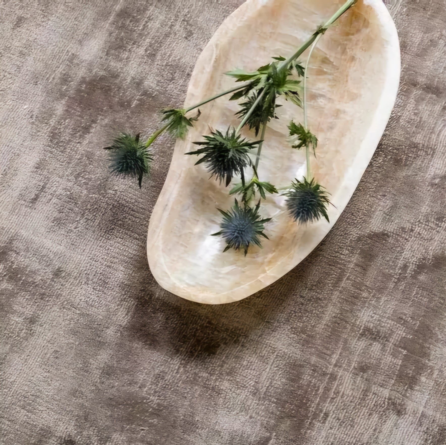 Must Living Schaal Bean - Schaal - MUST Living - livinglovely.nl